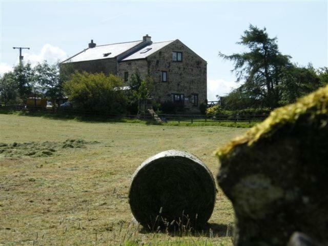 West Nattrass Guest House Alston Extérieur photo