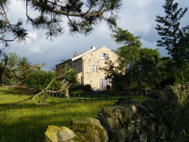 West Nattrass Guest House Alston Extérieur photo